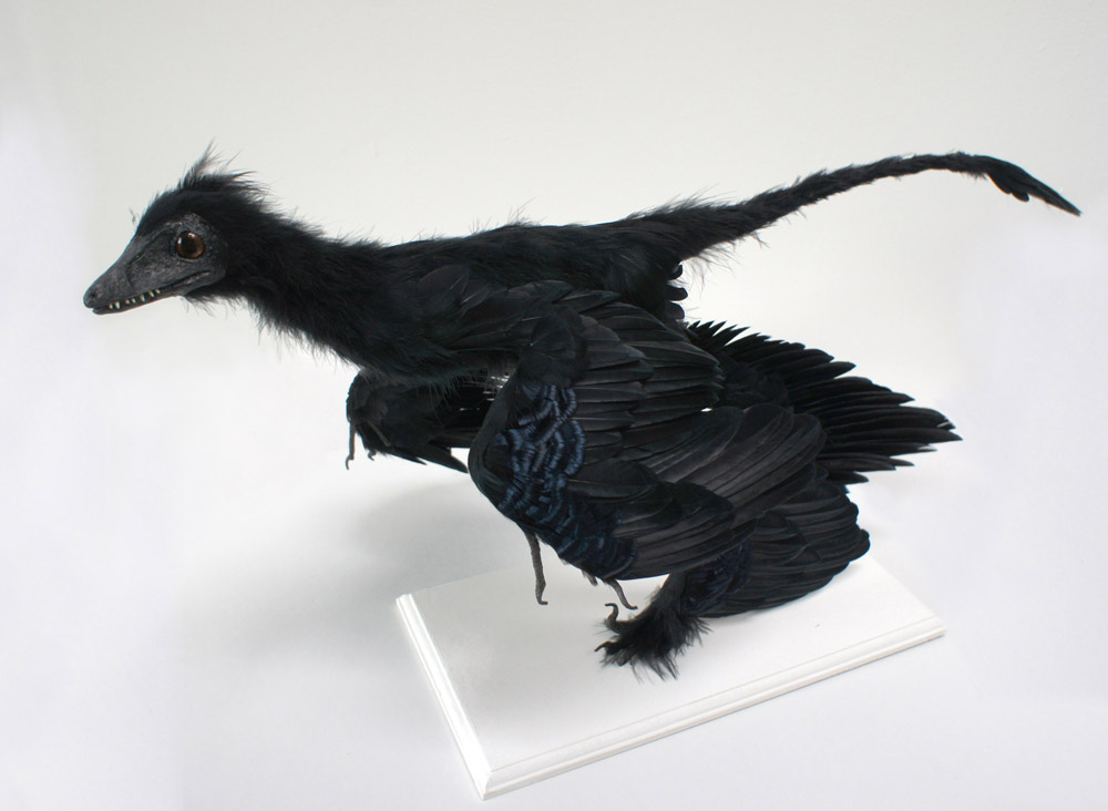 Microraptor-sculpture-2-copie100